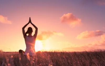 Blog 2 Pourquoi les naturopathes ont besoin d’un fournisseur spécialisé en compléments alimentaires – Le rôle essentiel de Happy Nutri Lab